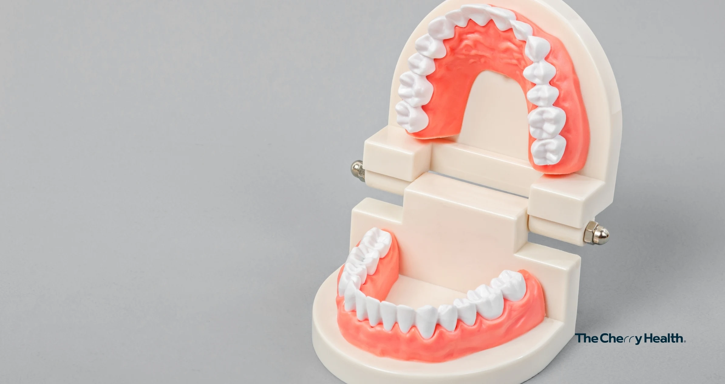 numero dental